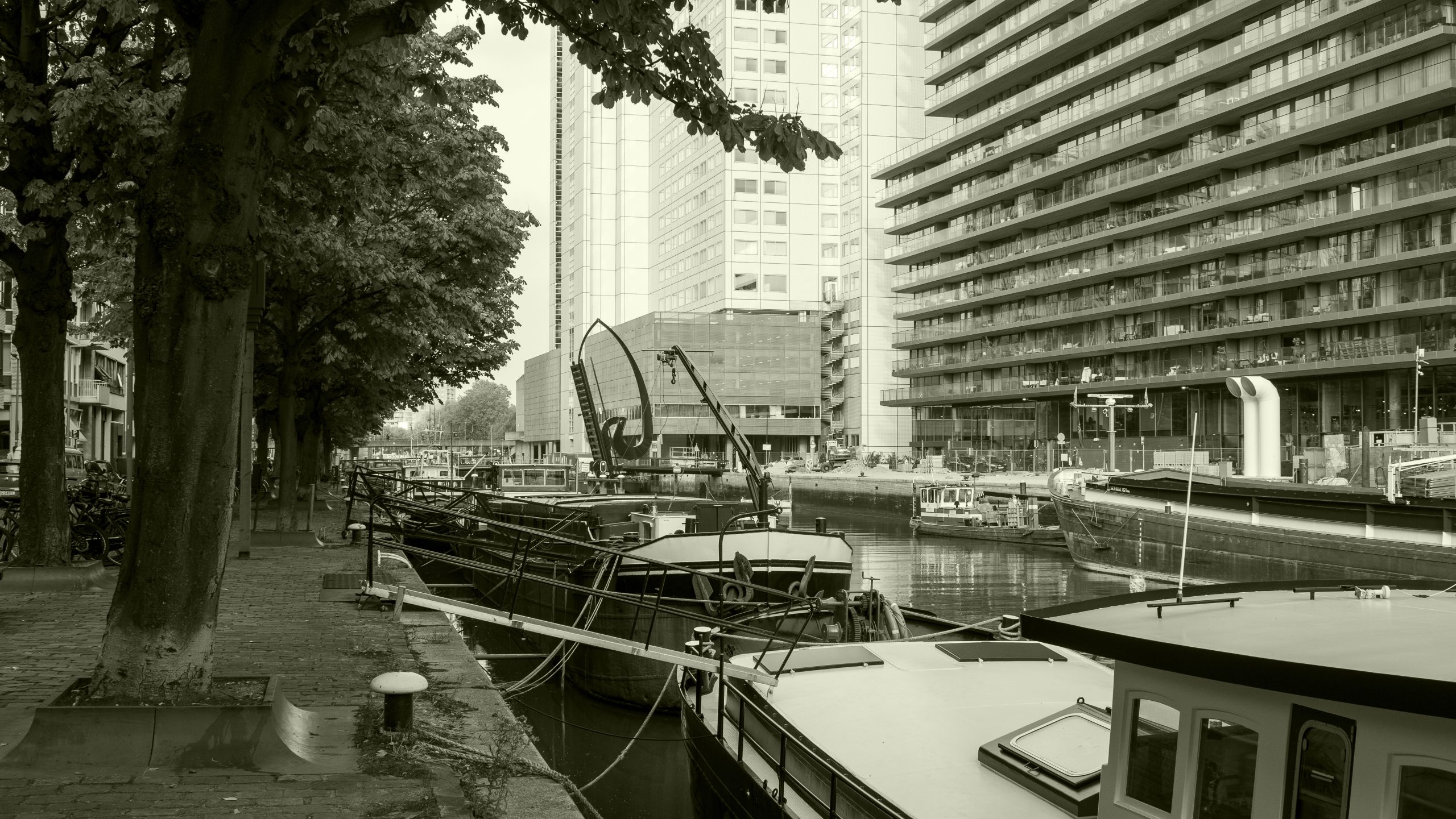DSC02866