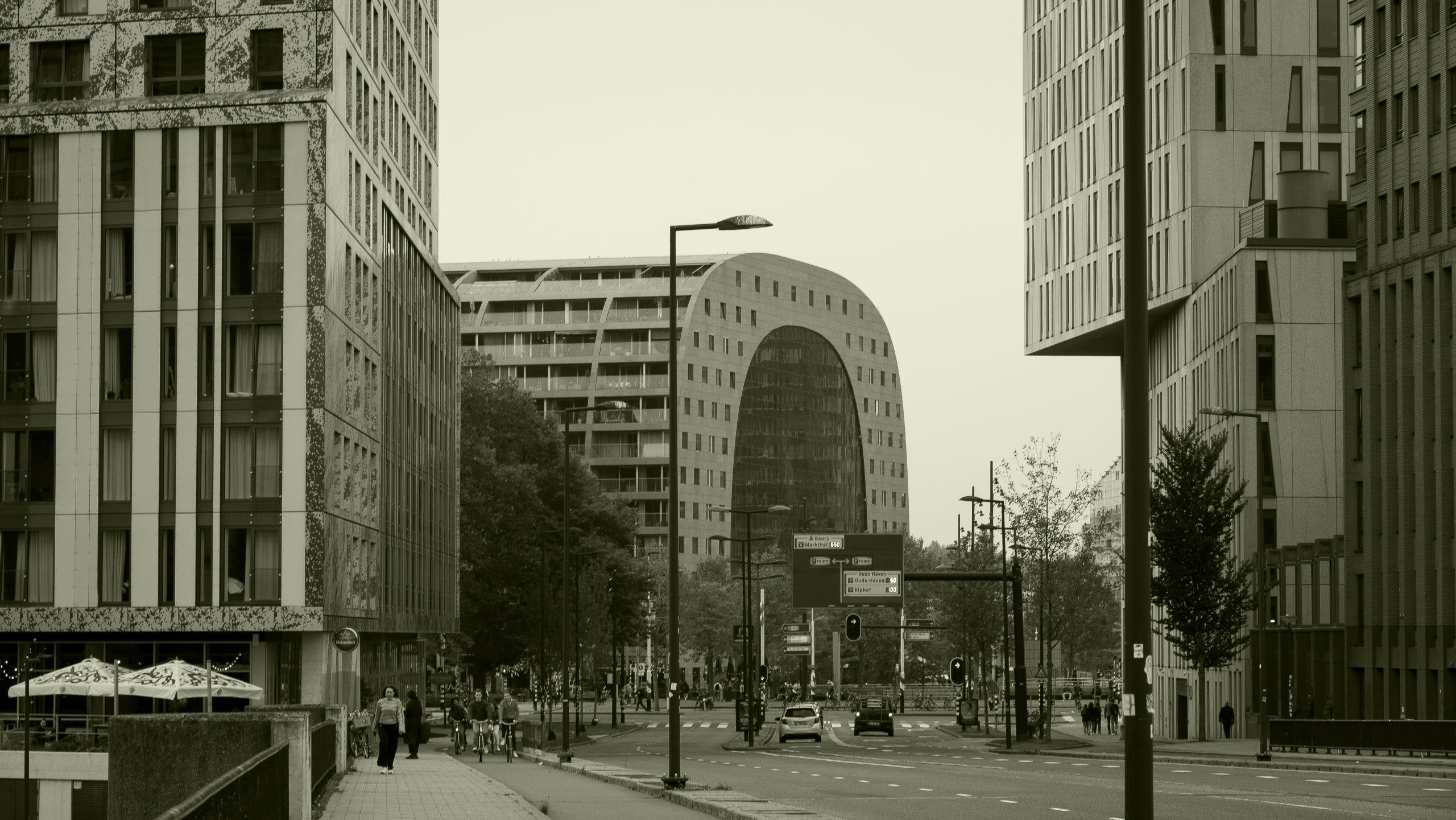 DSC02917